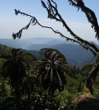 Uganda Rundreise – Safari, Gorillas & Abenteuer